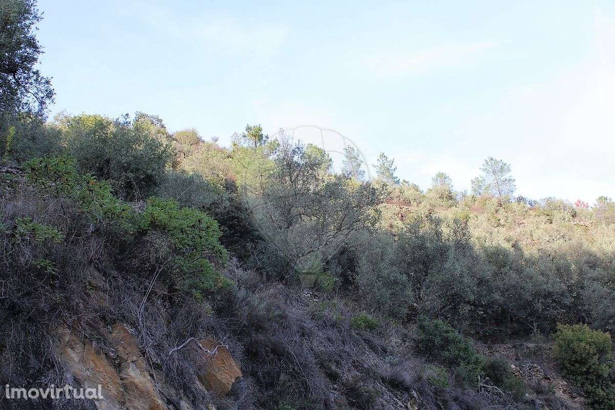 Terreno  para venda - Grande imagem: 5/7