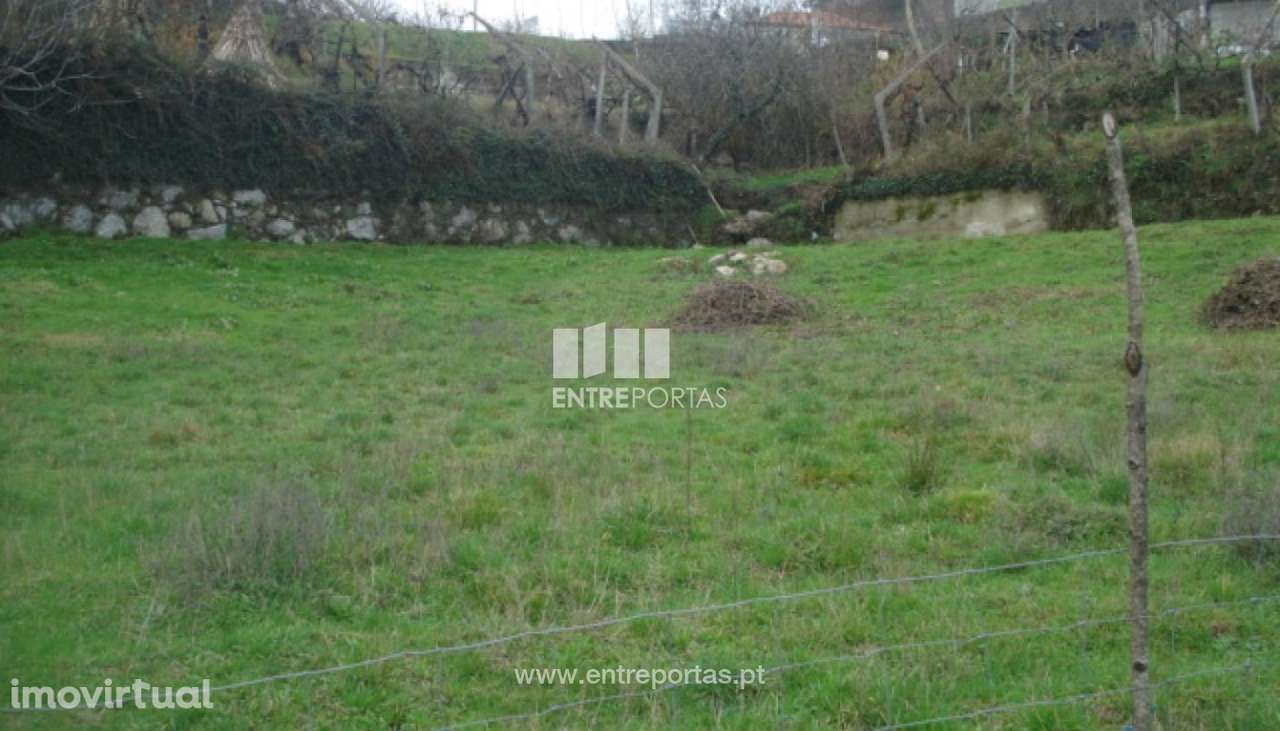 Venda Terreno, junto à estrada, Campelo, Baião - Grande imagem: 4/6