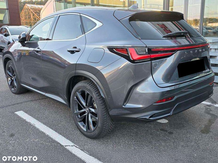 Lexus NX - 6