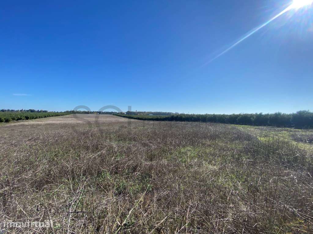 Terreno Rustico de terra limpa, nas imediações da cidade de Beja - Grande imagem: 3/30