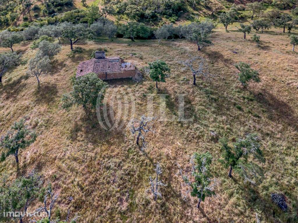 Terreno com 4 hectares na Serra de Grândola, Santiago do Cacém - Grande imagem: 2/27