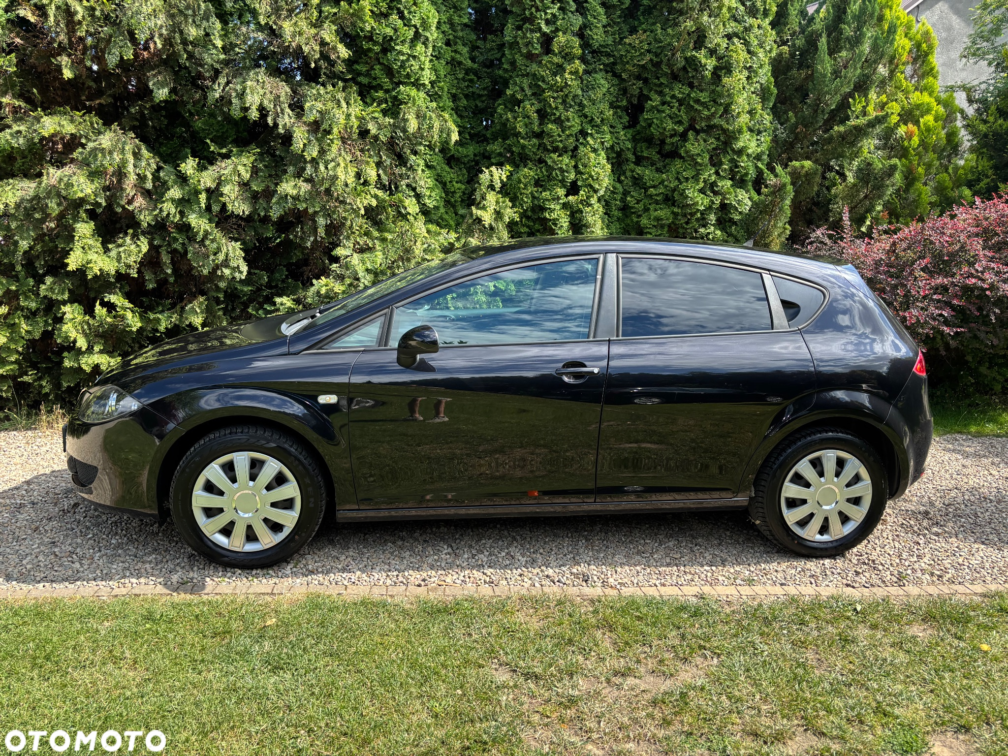 Seat Leon - 6