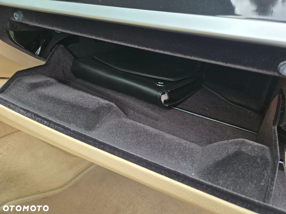 BMW Seria 5 520d Luxury Line - 18