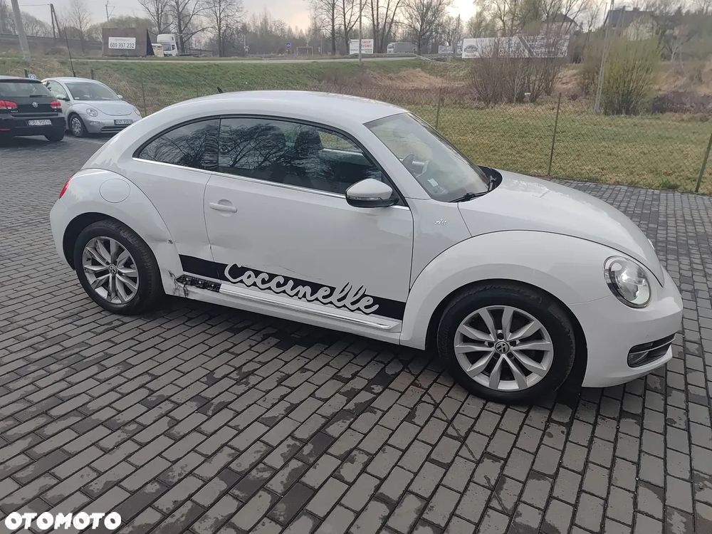 Volkswagen Beetle - 19