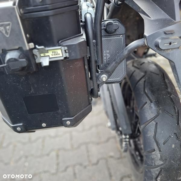 Triumph Tiger - 11