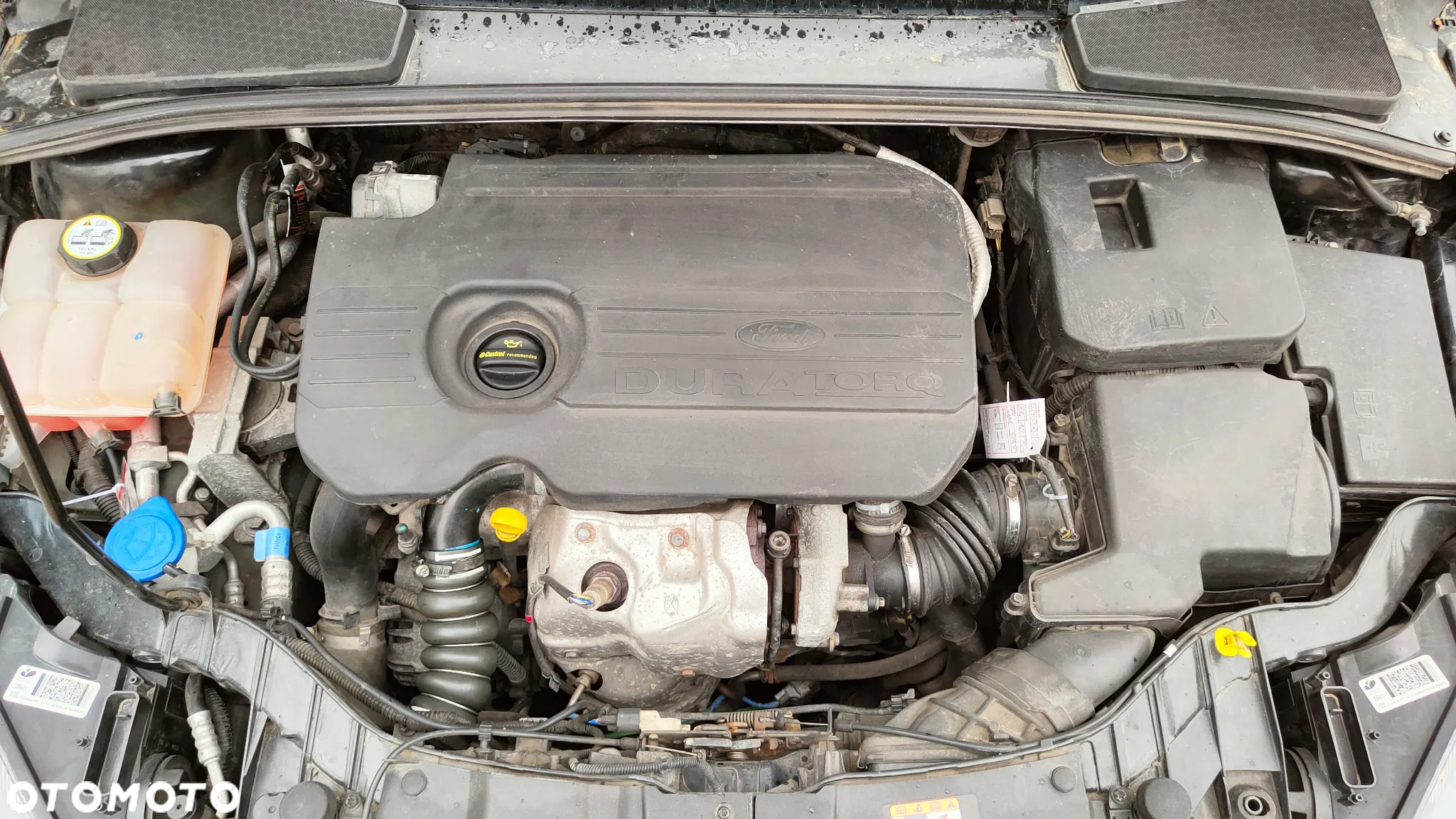 Ford Focus - 17