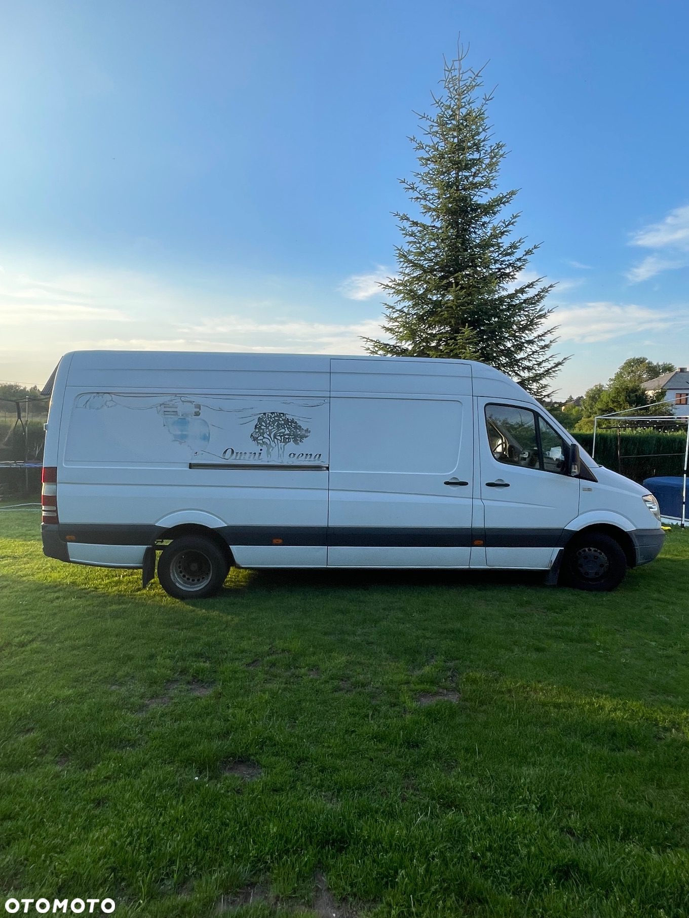 Mercedes-Benz Sprinter - 7