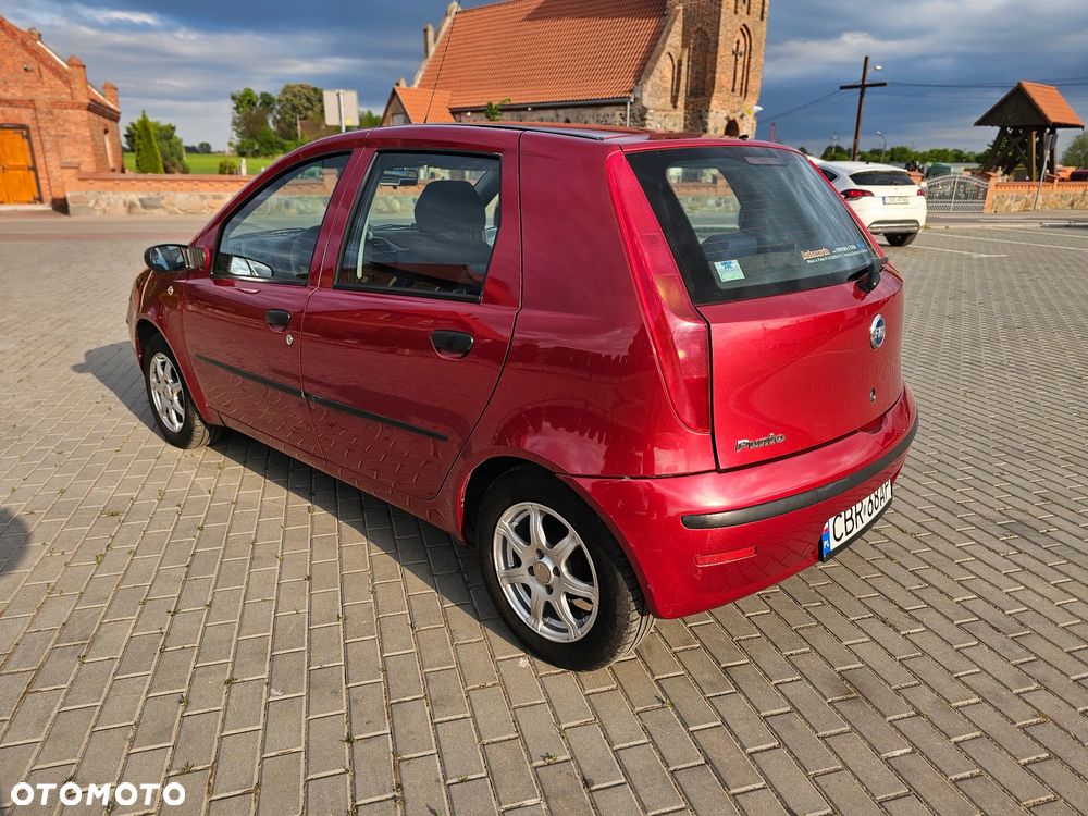 Fiat Punto 1.2 8V Active - 12