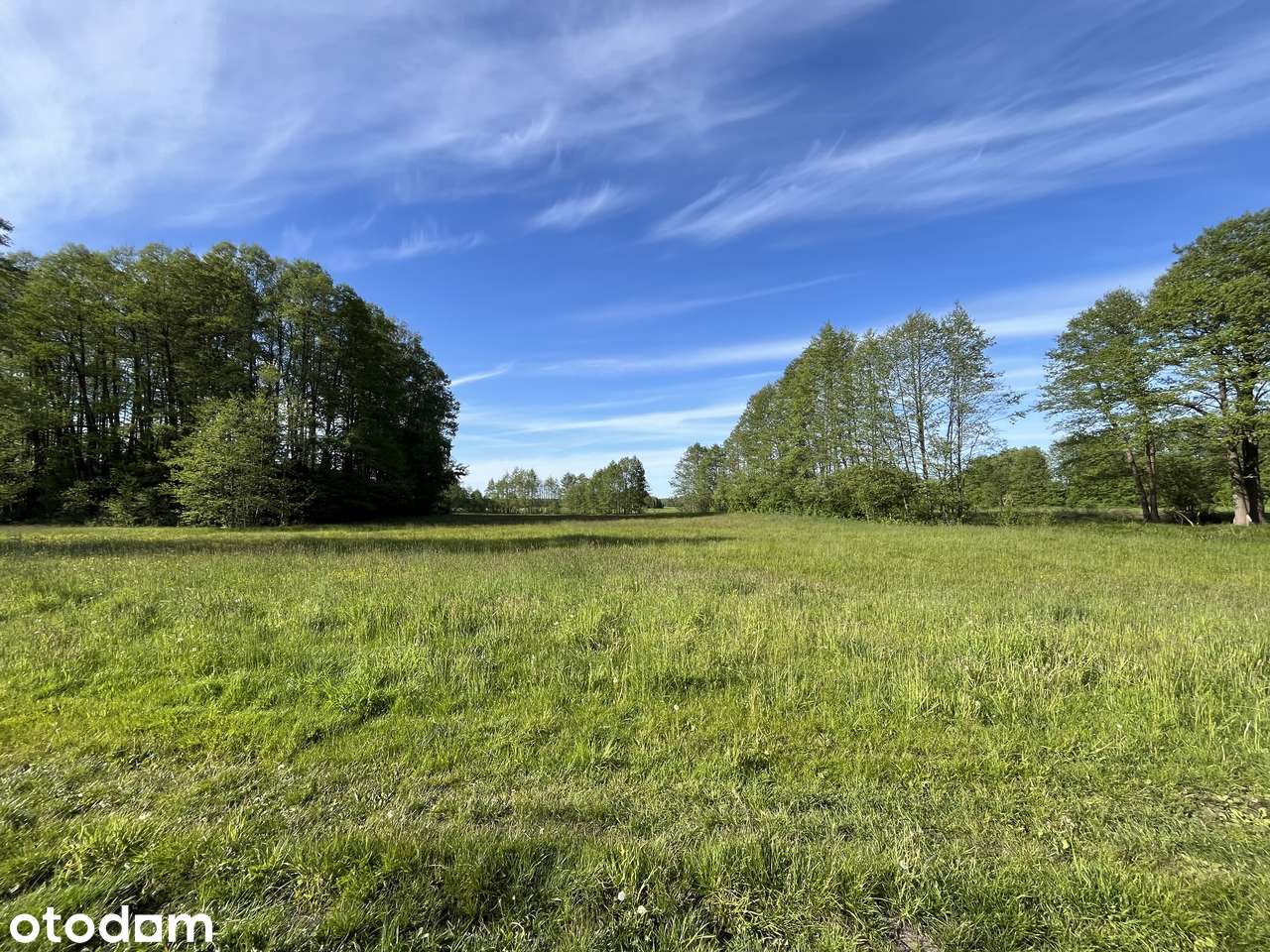 Działka budowlana 4900 m2, dom i działka rolna 3,2 ha, pod inwestycję - Pełny obrazek: 4/14