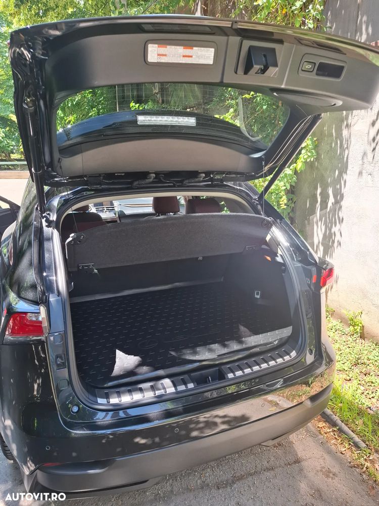Lexus Seria NX - 27