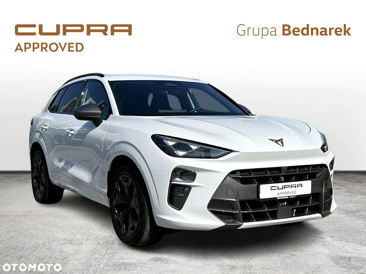 Cupra Terramar - 7