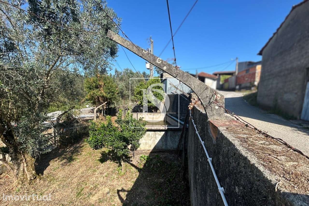 Terreno  Venda em Pala,Mortágua - Grande imagem: 5/20