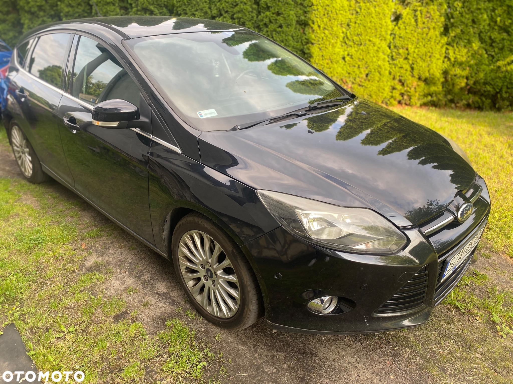 Ford Focus - 5