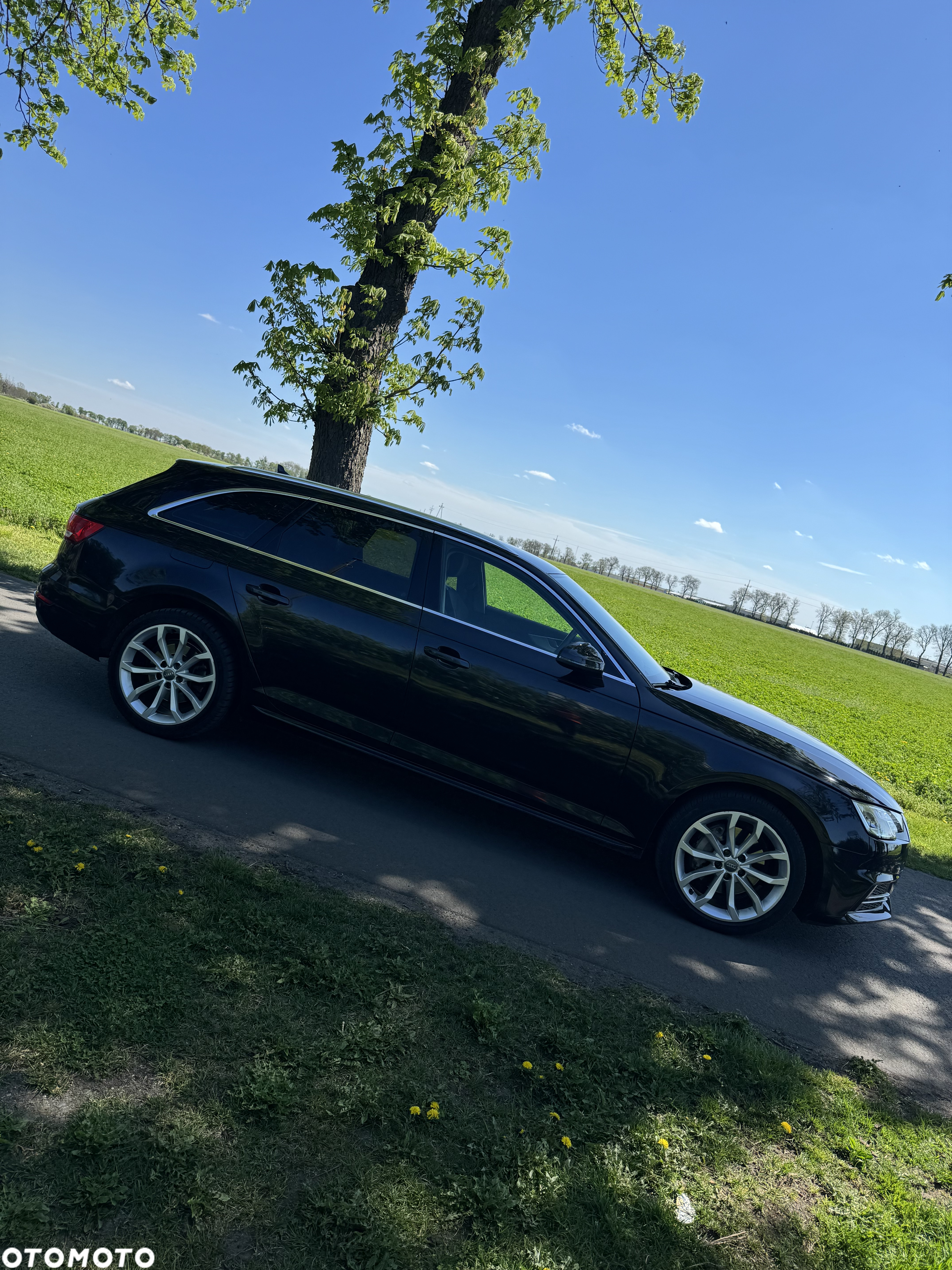 Audi A4 Avant 3.0 TDI S tronic - 3