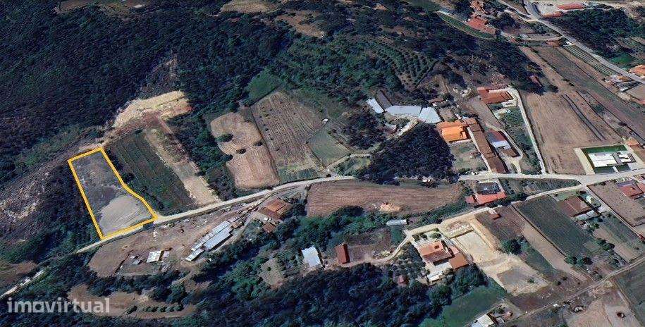 Terreno Rústico em Coimbra - Oportunidade Única por 12.990€ - Grande imagem: 4/8