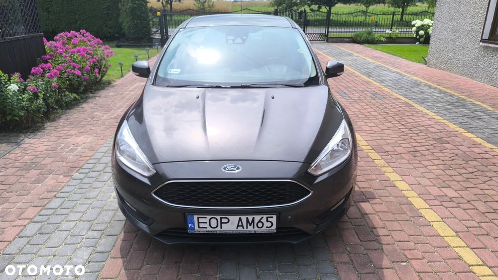 Ford Focus - 2
