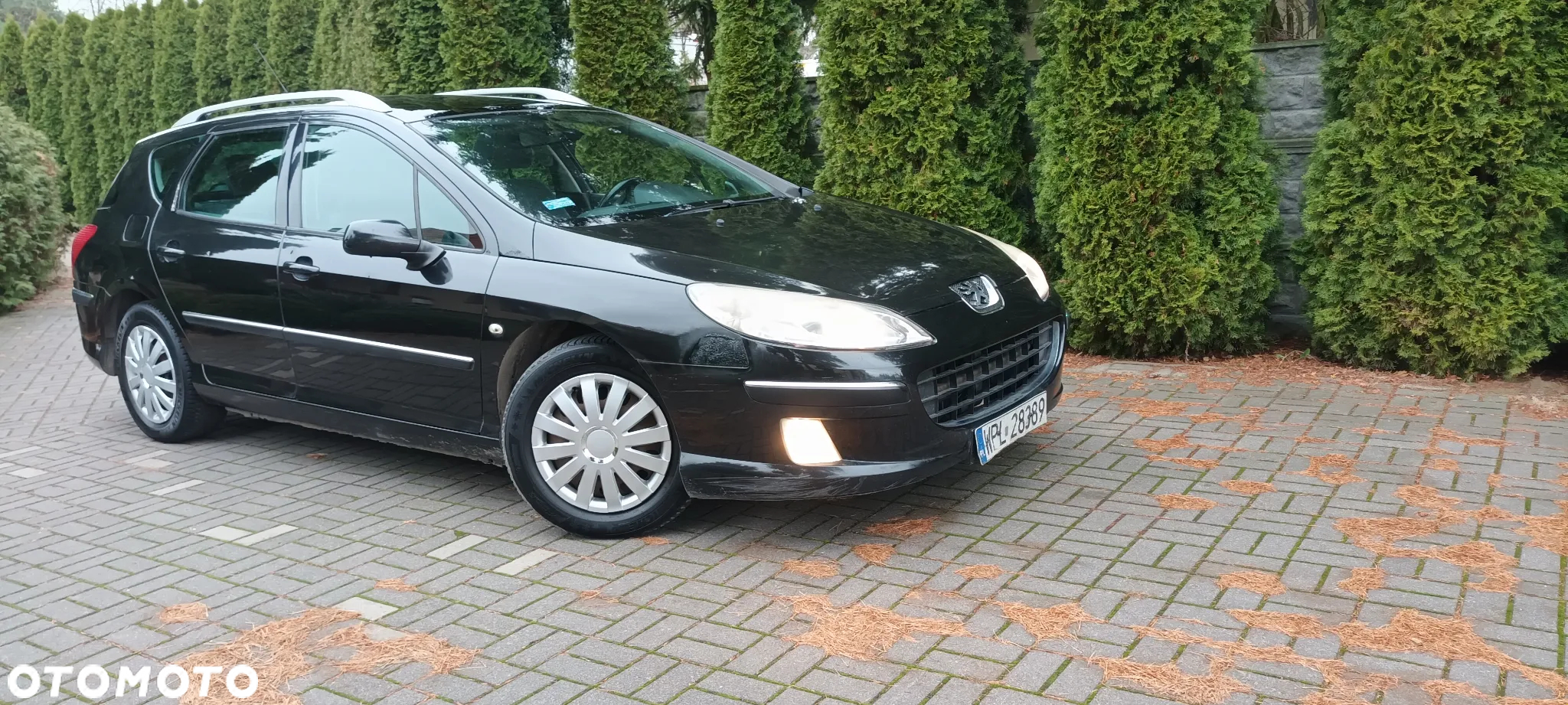 Peugeot 407 2.0 SV Executive - 2