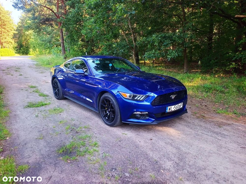 Ford Mustang 3.7 V6 - 13