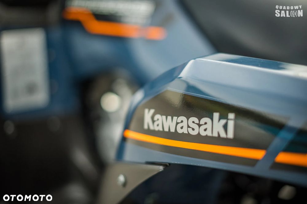 Kawasaki Brute Force - 13