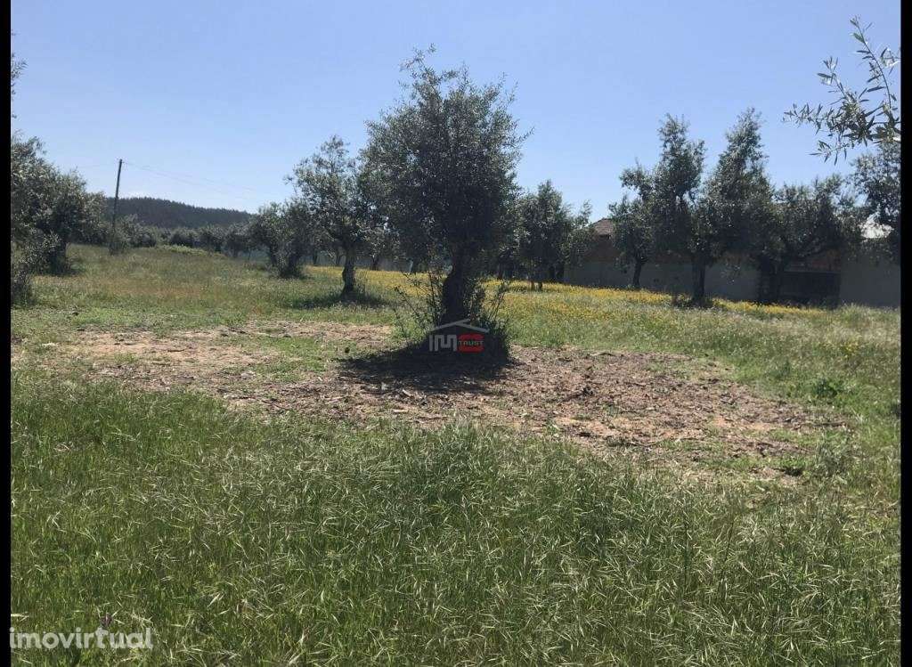 Terreno C/ Possibilidade de Construção - Grande imagem: 2/4