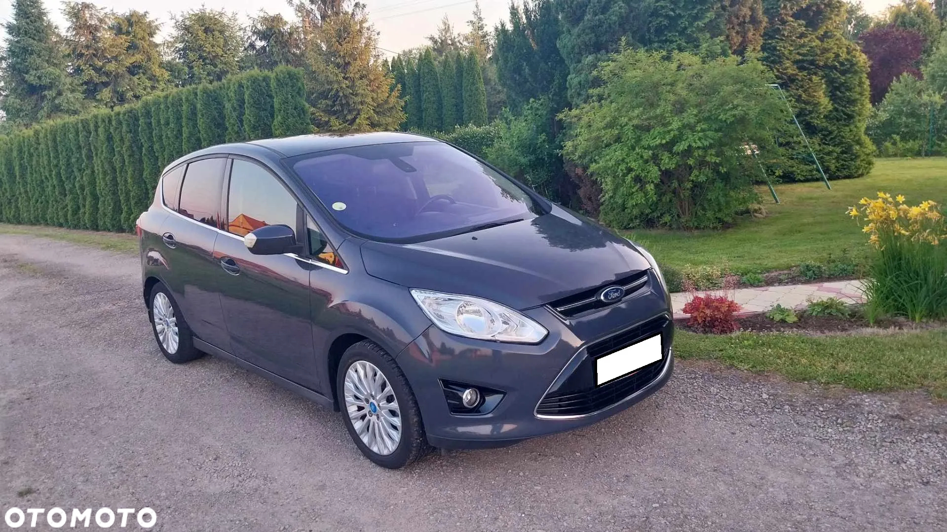 Ford C-MAX - 2