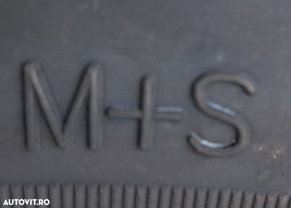 195/65 R16C, 104R, EVENT ML609, Anvelope de vara M+S - 4