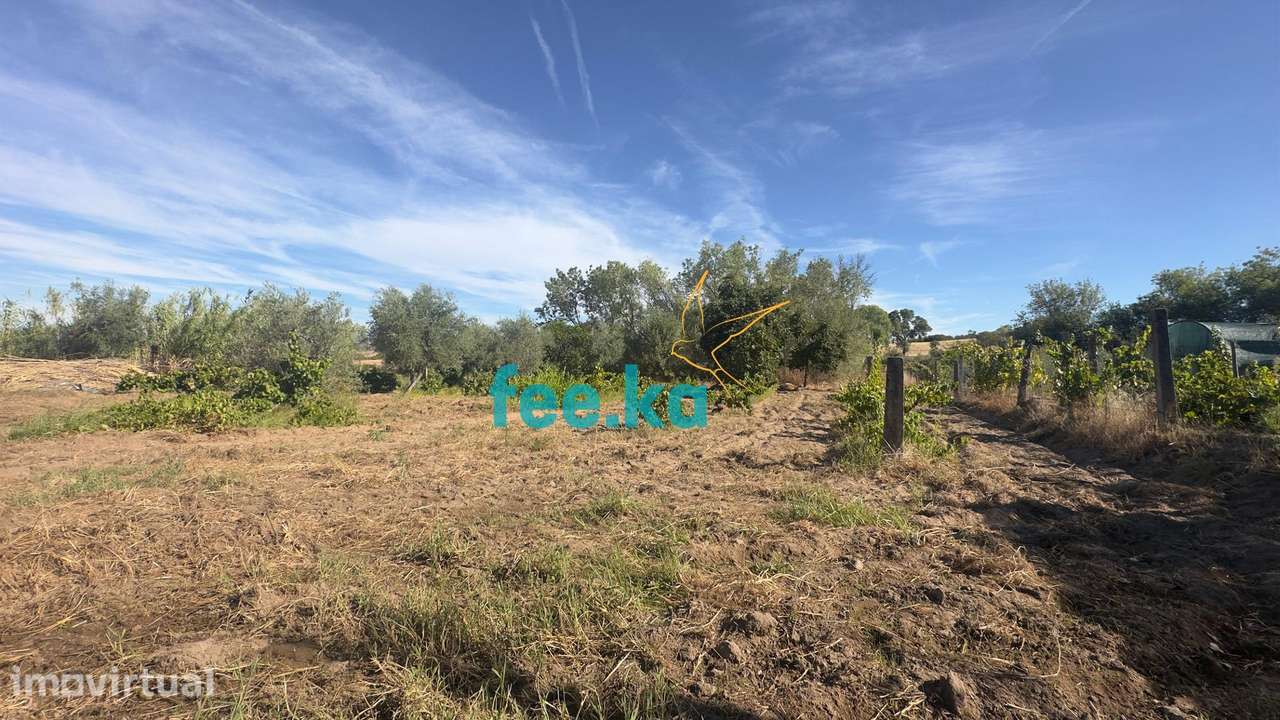 Terreno em Ladoeiro - Grande imagem: 5/48