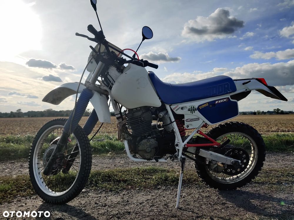 Honda XR - 6