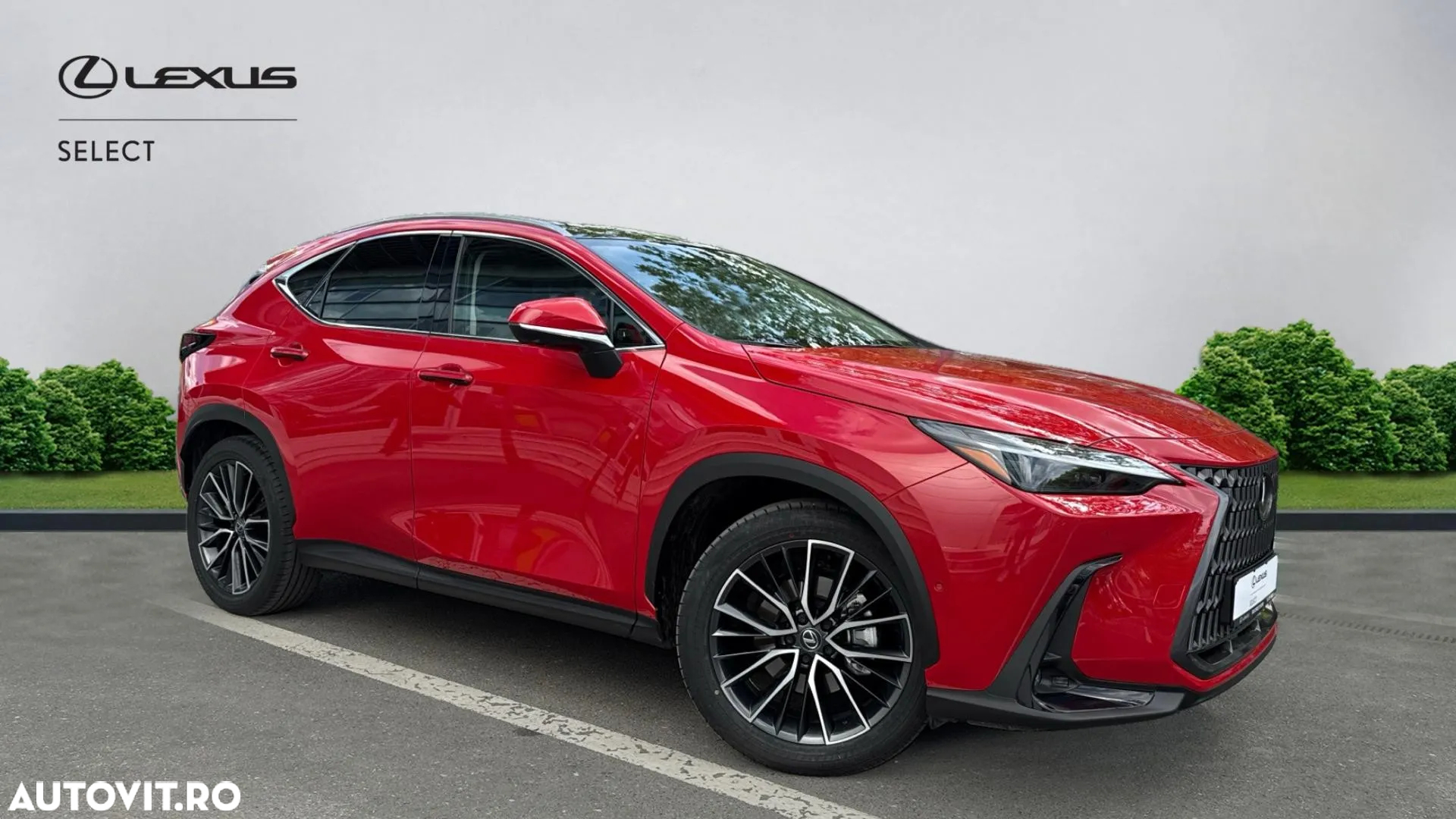 Lexus Seria NX 350h AWD CVT HEV Luxury - 26