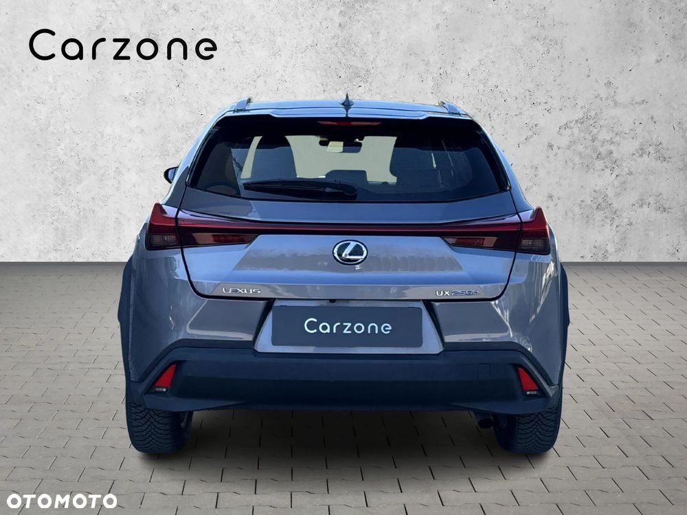 Lexus UX 250h GPF Business 2WD - 5