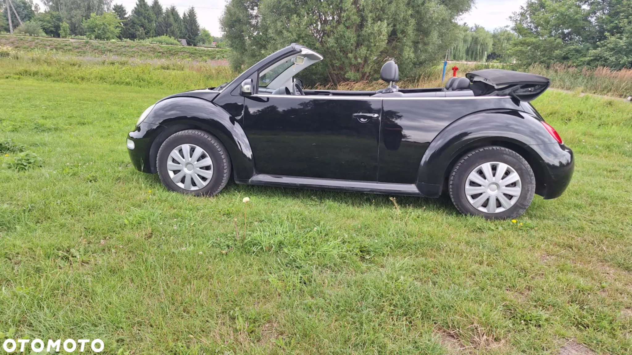 Volkswagen New Beetle 1.9 TDI - 3