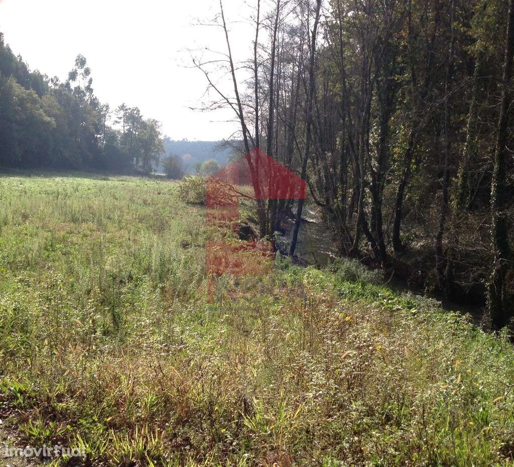 Terreno agrícola, Arcozelo - Grande imagem: 3/7