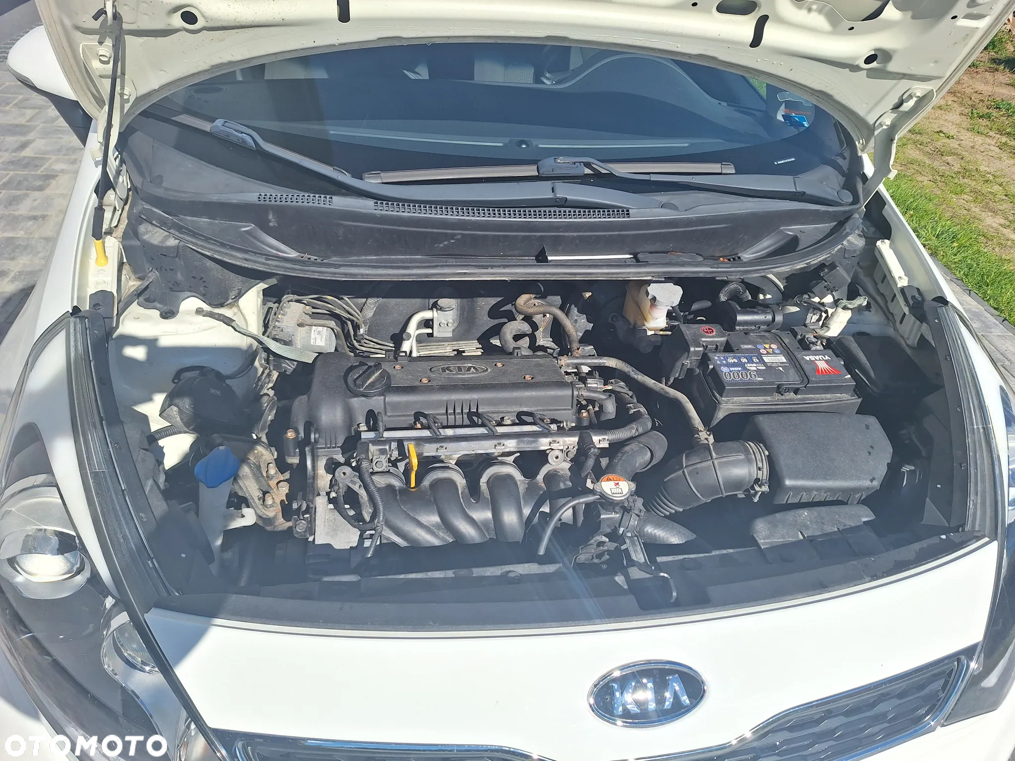 Kia Rio - 5