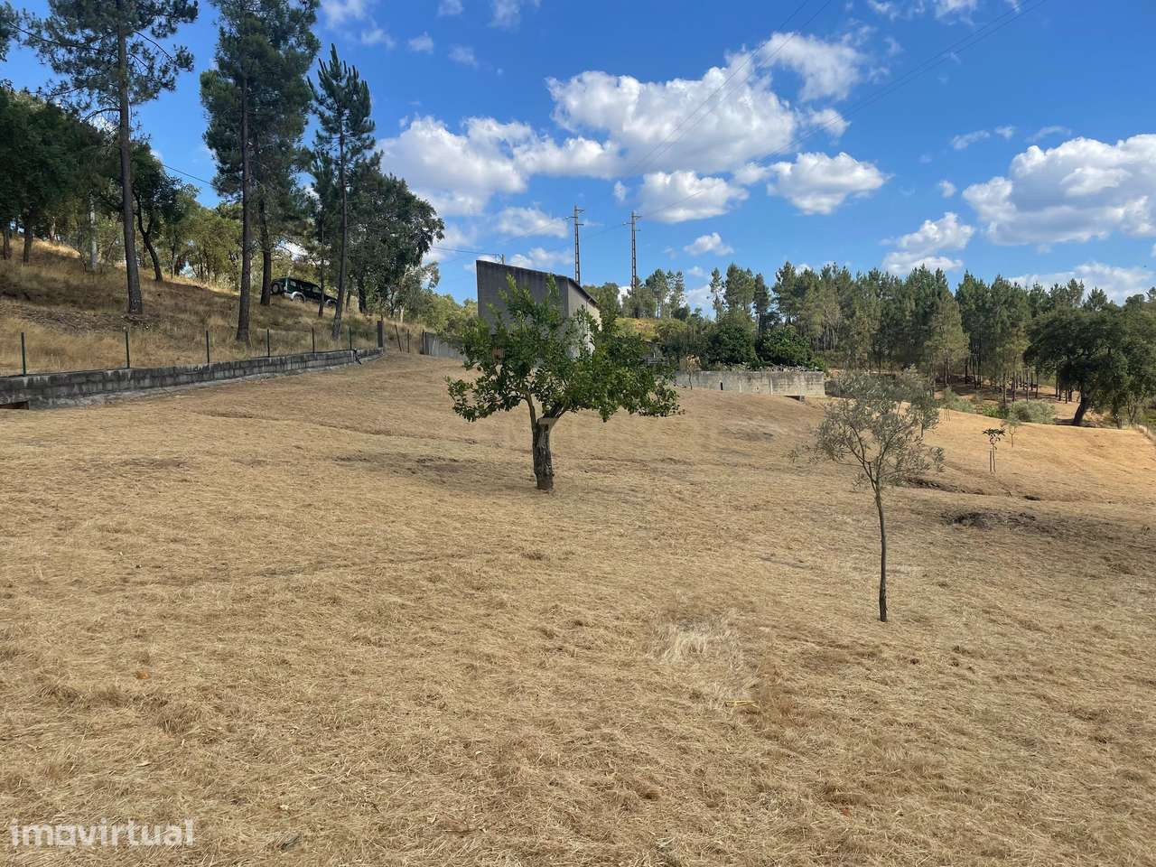 Terreno em Casal Figueira, Martinchel - Grande imagem: 2/20