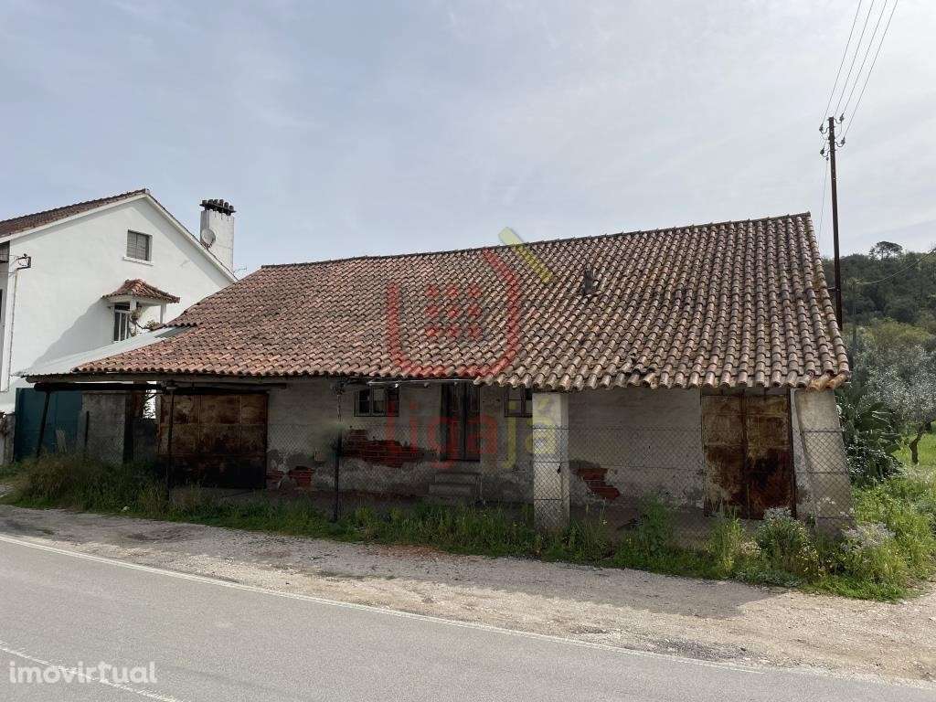 Antigo lagar de azeite! - Grande imagem: 2/9