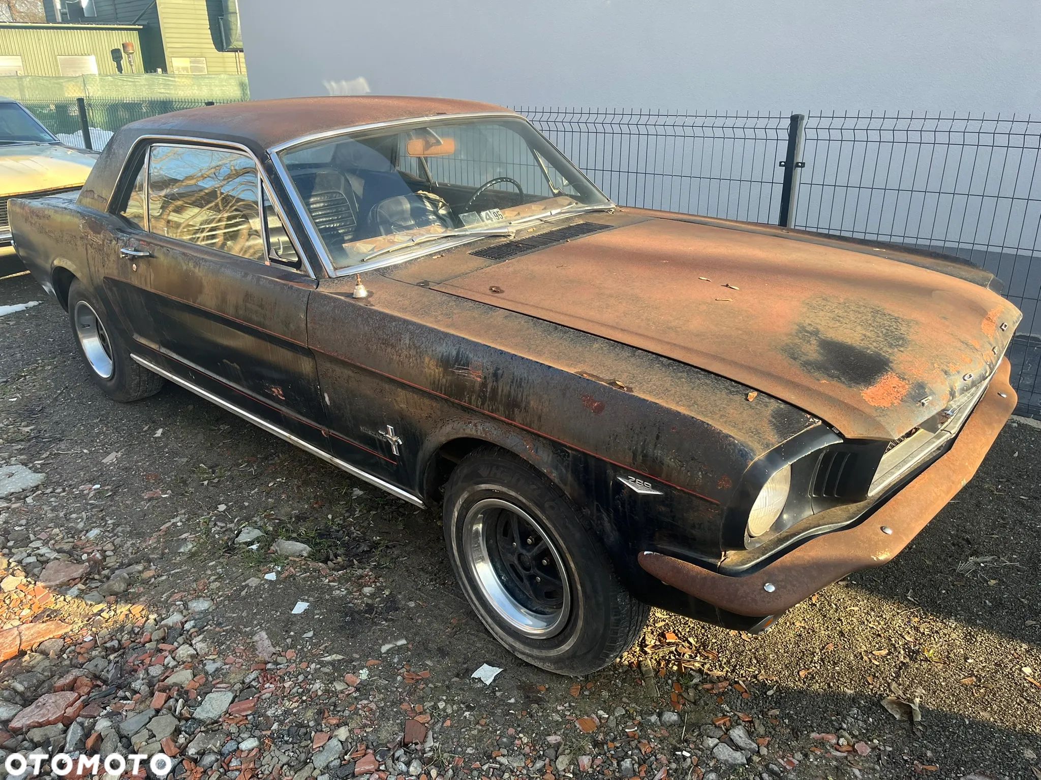 Ford Mustang - 1
