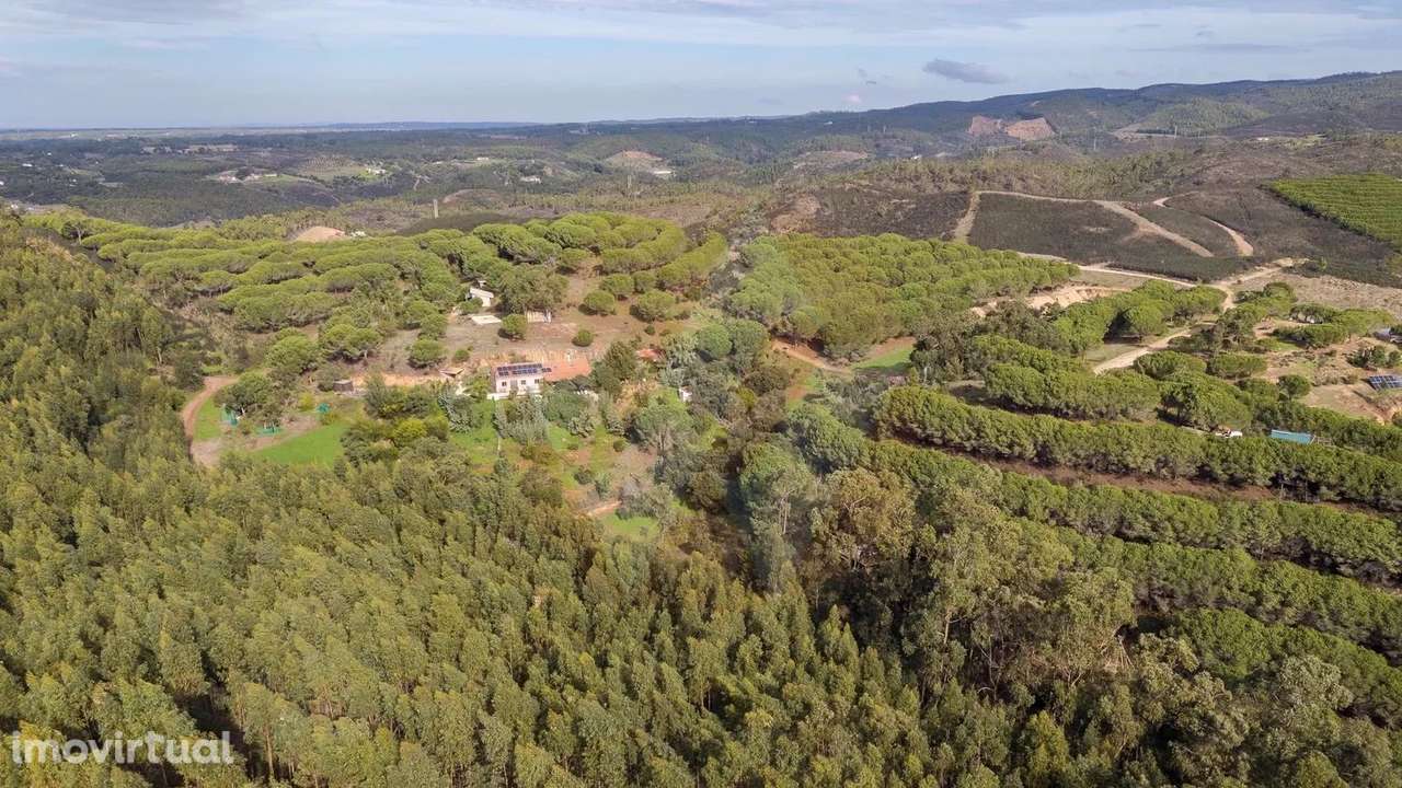 Propriedade com rentabilidade - Grande imagem: 2/27