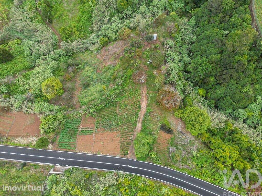 Terreno em Arco de São Jorge de 6820,00 m2 - Grande imagem: 3/11