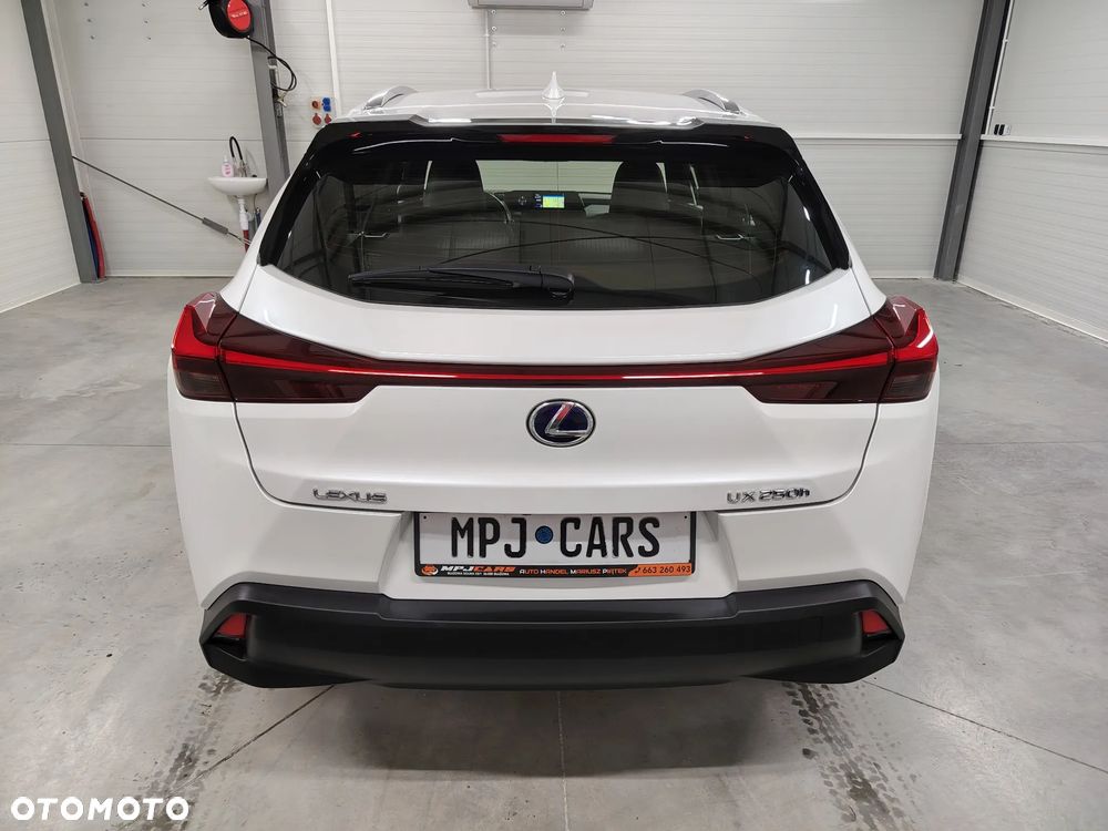 Lexus UX 250h Elegance 2WD - 11