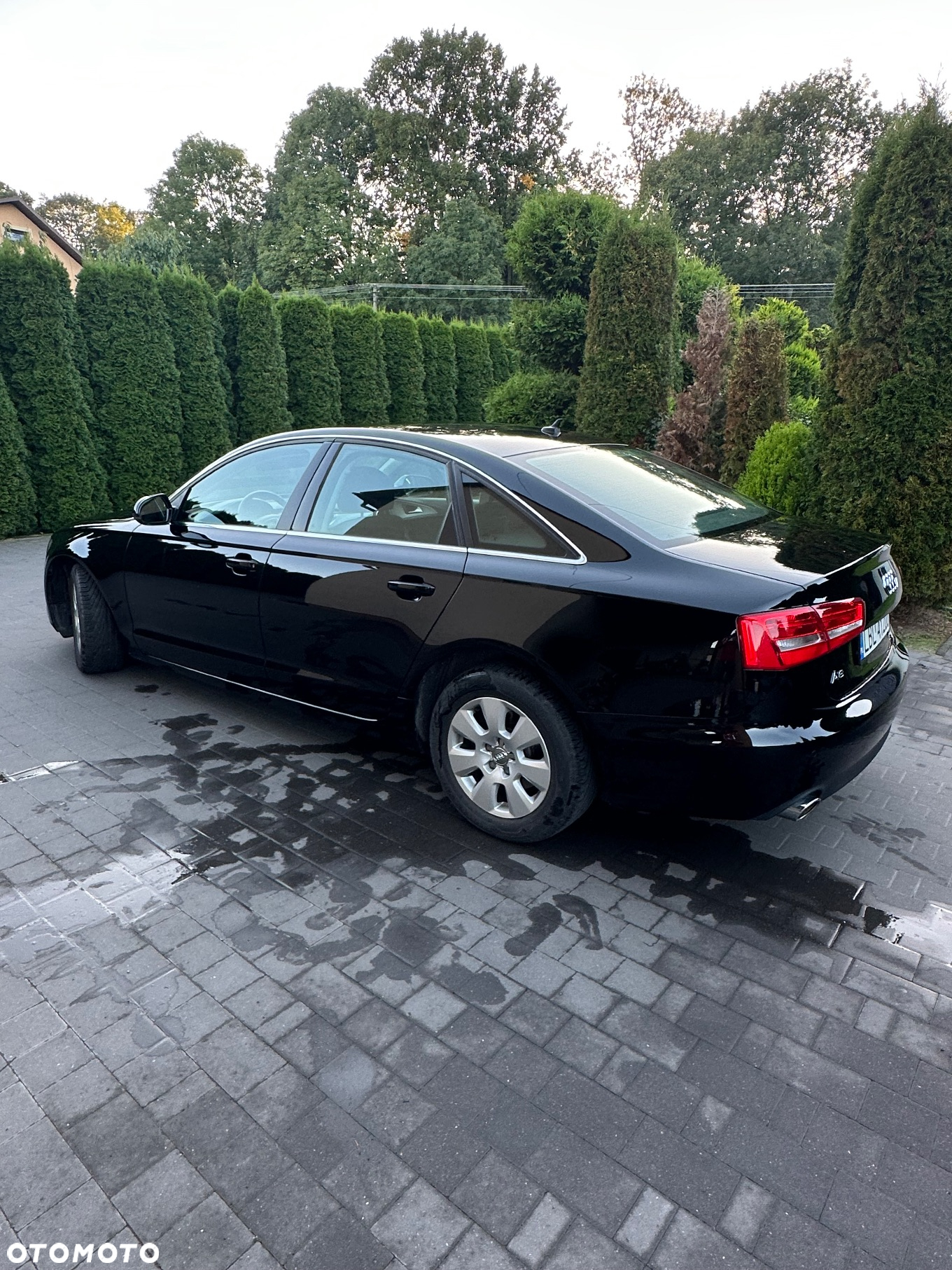 Audi A6 - 10