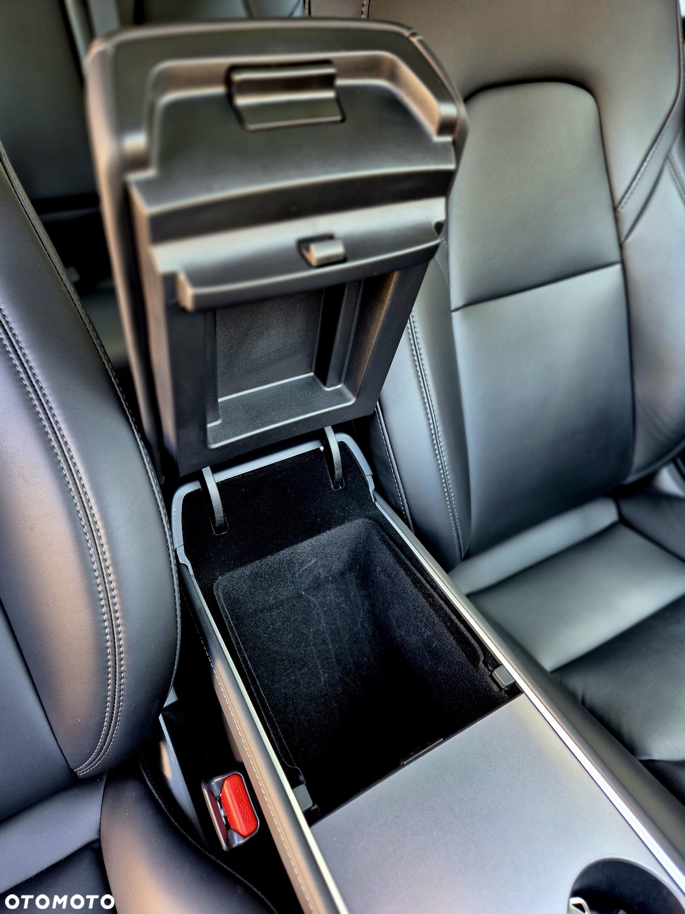 Tesla Model 3 - 19
