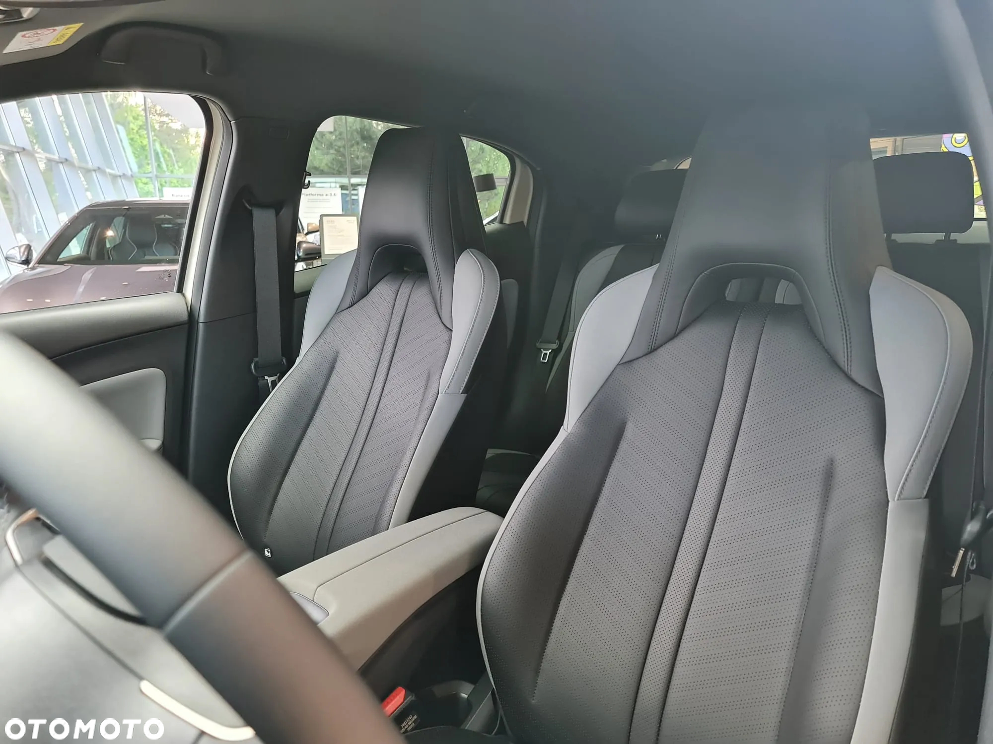 BYD Dolphin Surf - 25