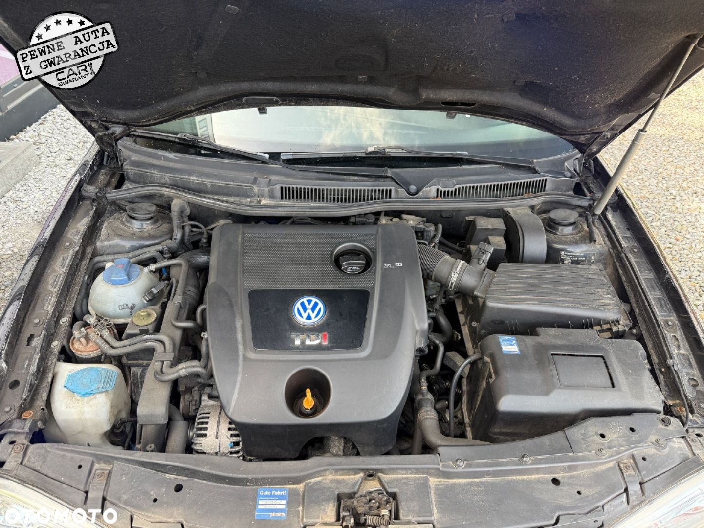 Volkswagen Golf - 16