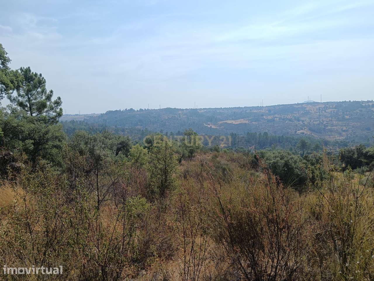 Terreno rustico em Palvarinho ( S. Lourenço  ) - Grande imagem: 4/8