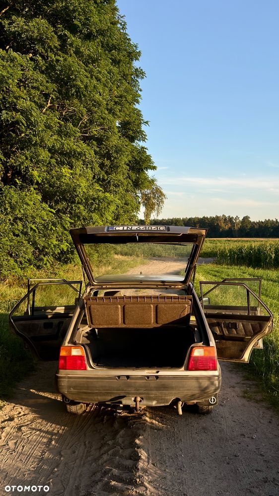 Polonez Caro - 17