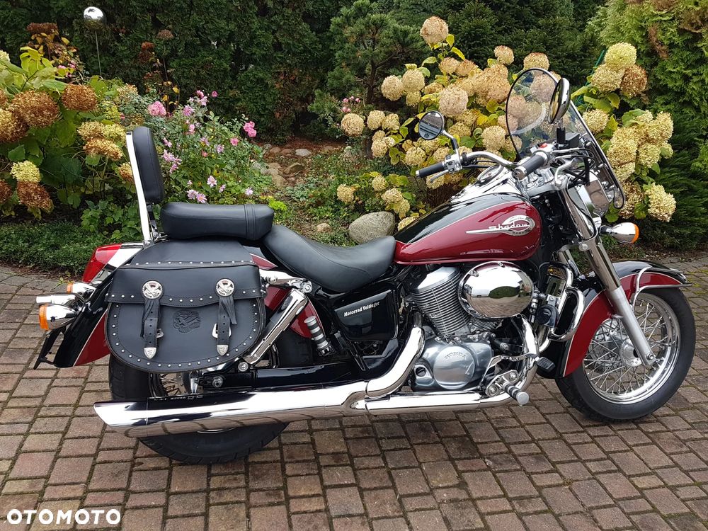 Honda Shadow - 5