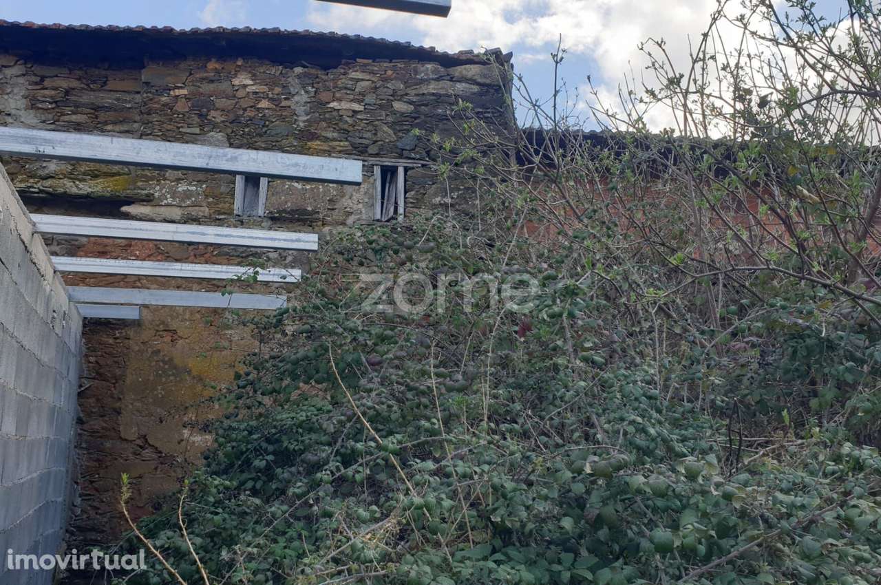 Moradia em Olmos - Macedo de Cavaleiros - Grande imagem: 4/14