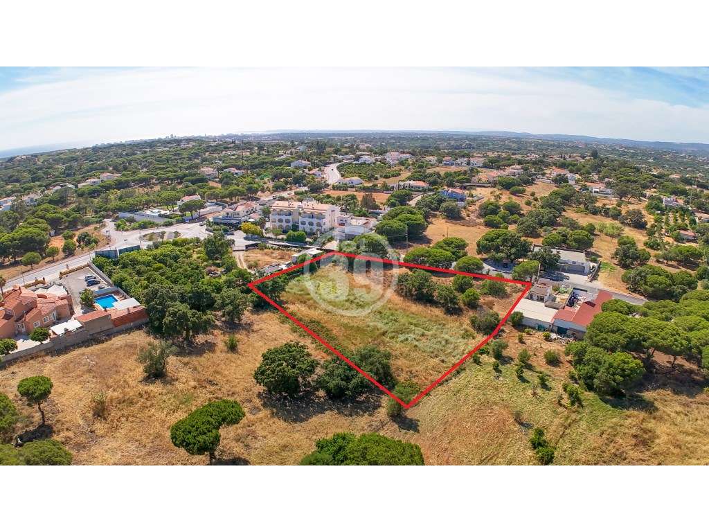 Terreno rustico com 4.232m2, situado em Escanchinhas/Almancil. - Grande imagem: 2/6