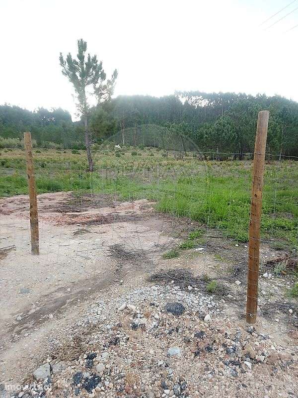 Terreno  para venda - Grande imagem: 3/5