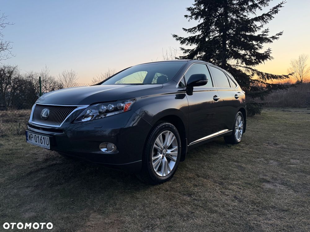 Lexus RX 450h (hybrid) Luxury Line - 1